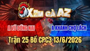 Trận 25 CPC3 13/6/2026: Bướm Đá Như Phim 1 Tay Nước Xách Đuôi Điều Ra