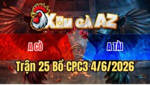 Trận 25 CPC3 4/6/2026: Anh Cò Và Anh Tài Lưỡng Bại Câu Thương