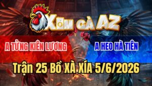 Trận 25 Xà Xía 5/6/2026: Xanh Chưa Kịp Làm Gì Đã Bị Đỏ Nạp Cho Hư Hình