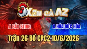 Trận 26 CPC2 10/6/2026: Điều Idol Đá 10 Cây Không Bằng Bướm Đá 1 Cây
