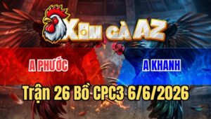 Trận 26 CPC3 6/6/2026: Anh Tèo Sửa Gà Hay Cũng Không Cứu Nổi Vàng Bông