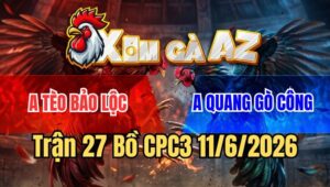 Trận 27 CPC3 11/6/2026: Gà Que Anh Quang Đâm Bướm Anh Tèo Tai Biến