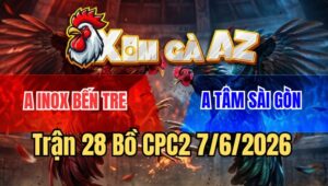 Trận 28 CPC2 7/6/2026: Bướm Anh Inox Đâm Phát Nào Ăn Tiền Phát Đó