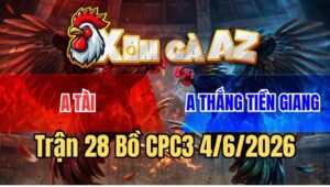 Trận 28 CPC3 4/6/2026: Bướm Đá Như Cái Máy Đâm Điều Ói Chết Tại Mức