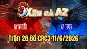 Trận 28 CPC3 11/6/2026: Trọng Tài Cứu Cửa Đỏ Một Bàn Thua Nhớ Đời