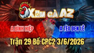 Trận 29 CPC2 3/6/2026: Xanh Áp Sát Đá Lọt Nách Non Đỏ Ói Máu Nằm Sàn