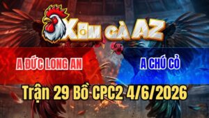 Trận 29 CPC2 4/6/2026: Vô Kính Đỏ Bú Cây Lưng Bướm Chú Cỏ Chạy Bay Bồ