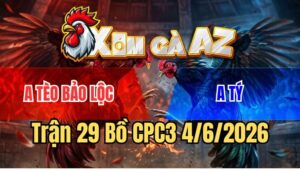 Trận 29 CPC3 4/6/2026: Gà Bông Đâm Điều Anh Tèo Chết Lúc Nào Không Hay