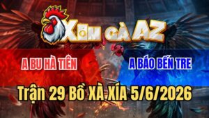 Trận 29 Xà Xía 5/6/2026: Bướm Anh Bu Đâm Úa Trào Máu Họng Chết Tươi