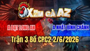 Trận 3 CPC2 2/6/2026: Điều Đá Liên Hoàn Cước, Gà Cú Tắt Điện Toàn Tập