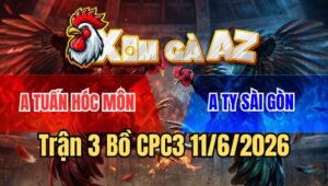 Trận 3 CPC3 11/6/2026: Khét Ra Nắm Vũ Chân Nào Chân Đó Cựa Thấy Ham