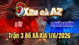 Trận 3 Xà Xía 1/6/2026: Úa Ói Sặc Máu, Bướm Hư Hình Bỏ Ô Và Cái Kết