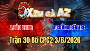 Trận 30 CPC2 3/6/2026: Xanh Nhỏ Đá 2 Dao Hạ Gà Điều Bảo Sting Đá 1 Dao