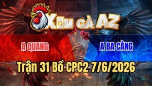 Trận 31 CPC2 7/6/2026: Xám Cú Tung Chân Hiểm, Xám Son Té Quẹo Cổ