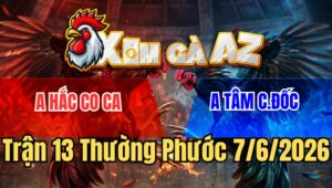Trận 12 Thường Phước 7/6/2026