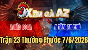 Trận 23 Thường Phước 7/6/2026