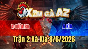 Trận 2 Bồ Xà Xía 8/6/2026
