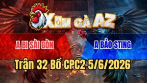 Trận 32 CPC2 5/6/2026: Bướm Hiệu Bảo Sting Đá Gà Khét Khỏi Tha Lơ