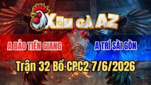 Trận 32 CPC2 7/6/2026: Gà Úa Anh Bảo Mập Đá Cho Đã Rồi Bỏ Đi
