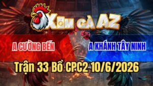 Trận 33 CPC2 10/6/2026: Bướm Đá Que Dắt Xe Đi Cầm Không Kịp Chung Tiền