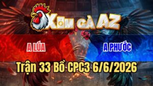 Trận 33 CPC3 6/6/2026: Xám Đâm Lọt Mu Lưng Gà Úa Chạy Kêu