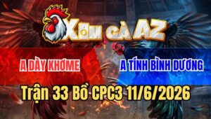 Trận 33 CPC3 11/6/2026: Điều Anh Dày Bị Đá Gãy Mỏ Có Chân Xạo Lờ