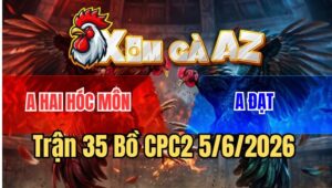 Trận 35 CPC2 5/6/2026: Úa Cọp Anh Hai Nắm Đầu Gà Khét Vả Như Tát Nước