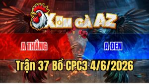 Trận 37 CPC3 4/6/2026