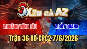 Trận 36 CPC2 7/6/2026: Điều Đâm Chuối Chết Trong Chân Sau 1 Tay Nước