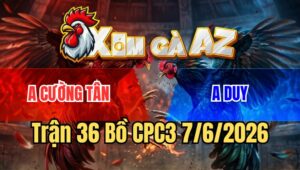 Trận 36 CPC3 7/6/2026: Gà Anh Tèo Lắc Thả Ra Là Đâm Như Máy Khâu