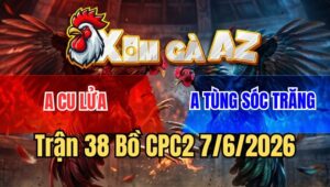 Trận 38 CPC2 7/6/2026: Khét Nạp Đúng Một Chân Xám Tàn Phế Luôn