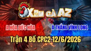 Trận 4 CPC2 12/6/2026: Xanh Bỏ Công Đỏ Nằm Câu Đầu Bỏ Miệng Hòa