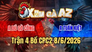 Trận 4 CPC2 8/6/2026: Úa Dí Ăn 6 Buông Đuôi, Bị Xám Đá Vỡ Đầu Chảy Máu