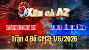Trận 4 CPC3 1/6/2026: Que Cọp Má Minh Quá Trâu Bướm Đâm Không Thấm