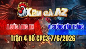 Trận 4 CPC3 7/6/2026: Gà Bướm Dính Đòn Hiểm, Ói Tiền Không Kịp Ngáp