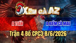 Trận 4 CPC3 8/6/2026: Gà Anh Kiểm Nhỏ Mà Đâm Hiểm 1 Chân Điều Đập Cánh