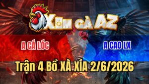 Trận 4 Xà Xía 2/6/2026: Điều Anh Cá Lóc Đâm Camelo Đập Cánh Chết Tươi