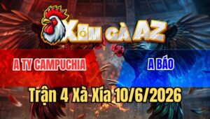 Trận 4 Xà Xía 10/6/2026: Điều Đâm Dã Man Cú Té Chết Dưới Chân