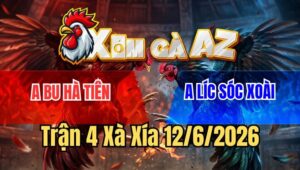 Trận 4 Xà Xía 12/6/2026: Úa Ra Đòn Thần Tốc Hạ Que, Tiền Về Như Nước