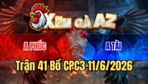Trận 41 CPC3 11/6/2026: Úa Đâm Quá Nghiệt Gà Cú Té Đập Cánh Xòe Đuôi