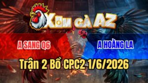 Trận 2 CPC2 1/6/2026