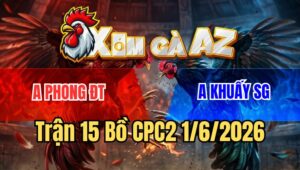 Trận 15 CPC2 1/6/2026