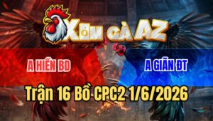Trận 16 CPC2 1/6/2026