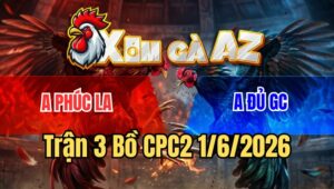 Trận 3 CPC2 1/6/2026