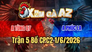 Trận 5 CPC2 1/6/2026