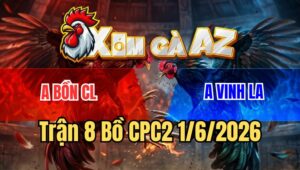 Trận 8 CPC2 1/6/2026