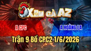 Trận 9 CPC2 1/6/2026