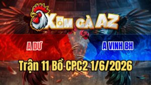 Trận 11 CPC2 1/6/2026