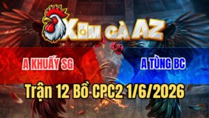 Trận 12 CPC2 1/6/2026
