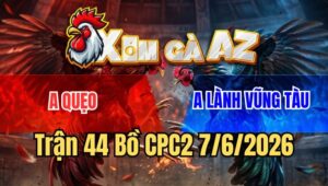 Trận 44 CPC2 7/6/2026: Khét Đâm 3 Chân Xám Bại Liệt, Anh Lành Xin Thua